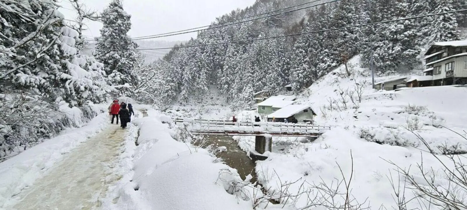 The snow-covered forest trail that leads to the monkey park
