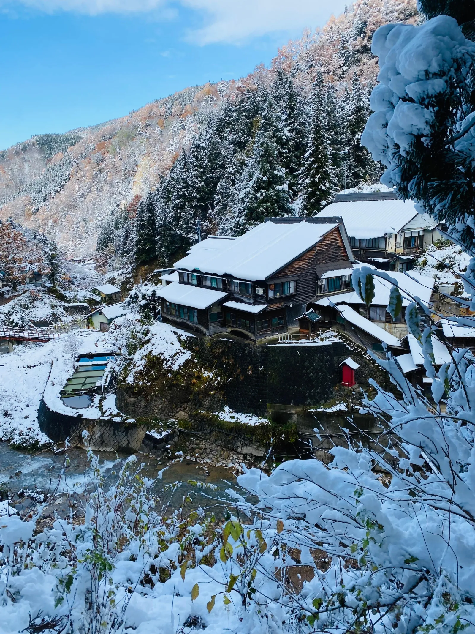 The snow-covered rooftops of the Jigokudani valley in winter