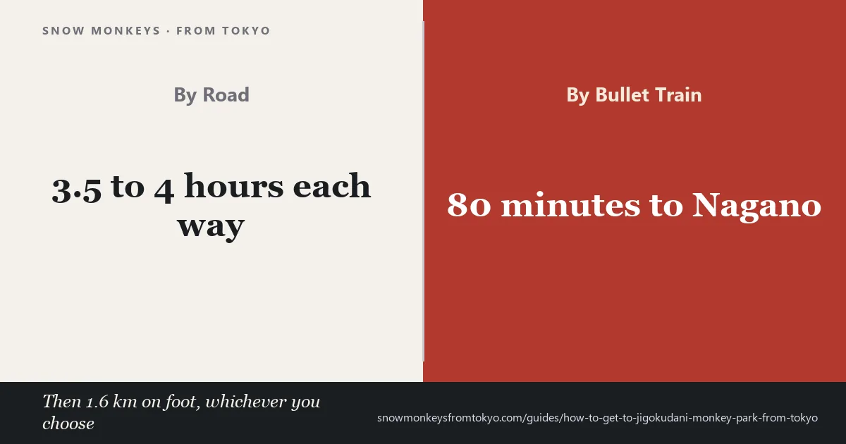 Three routes from Tokyo to Jigokudani Monkey Park compared