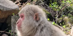 Guest photo from review