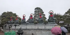 Guest photo from review