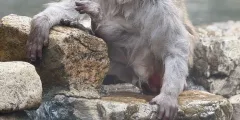 Guest photo from review