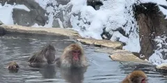 Guest photo from review