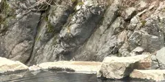 Guest photo from review