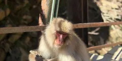 Guest photo from review