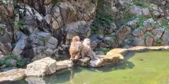 Guest photo from review
